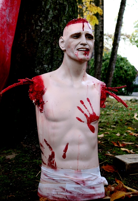 The rest of me...` -PART 1- Torso